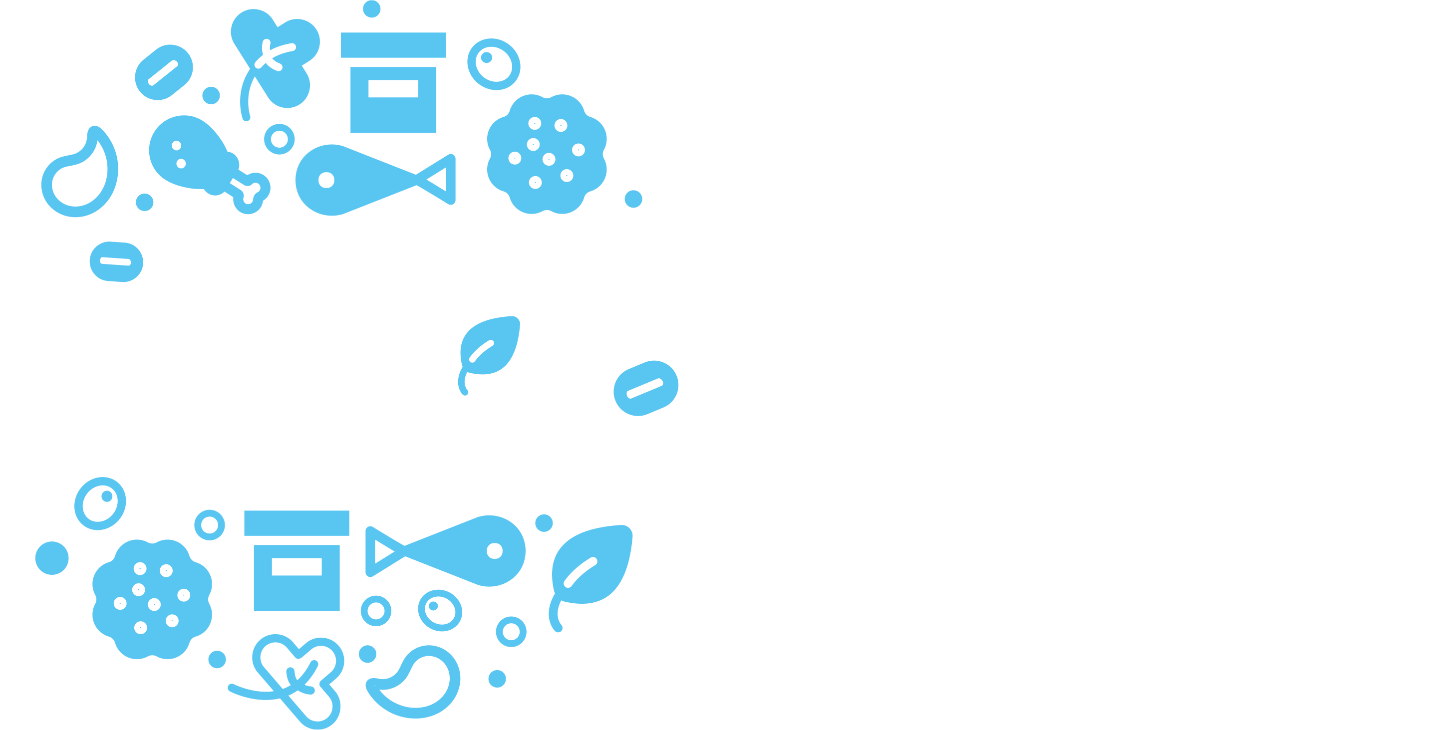 M&Z p.l.c.